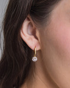 Zircon Starduts Hoops