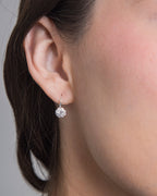 Ice Zircon Hoops 925