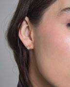 Silver Stardust Studs