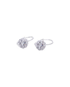 Ice Zircon Hoops 925