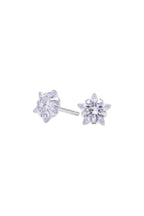 Star Studs 925